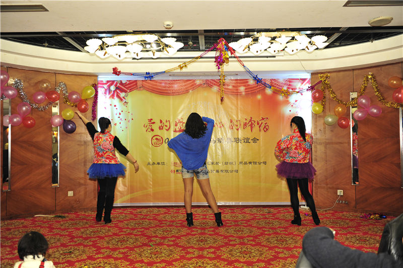 愛的盛宴、心的歸宿——芳恩家居2013新春聯(lián)誼會(huì)