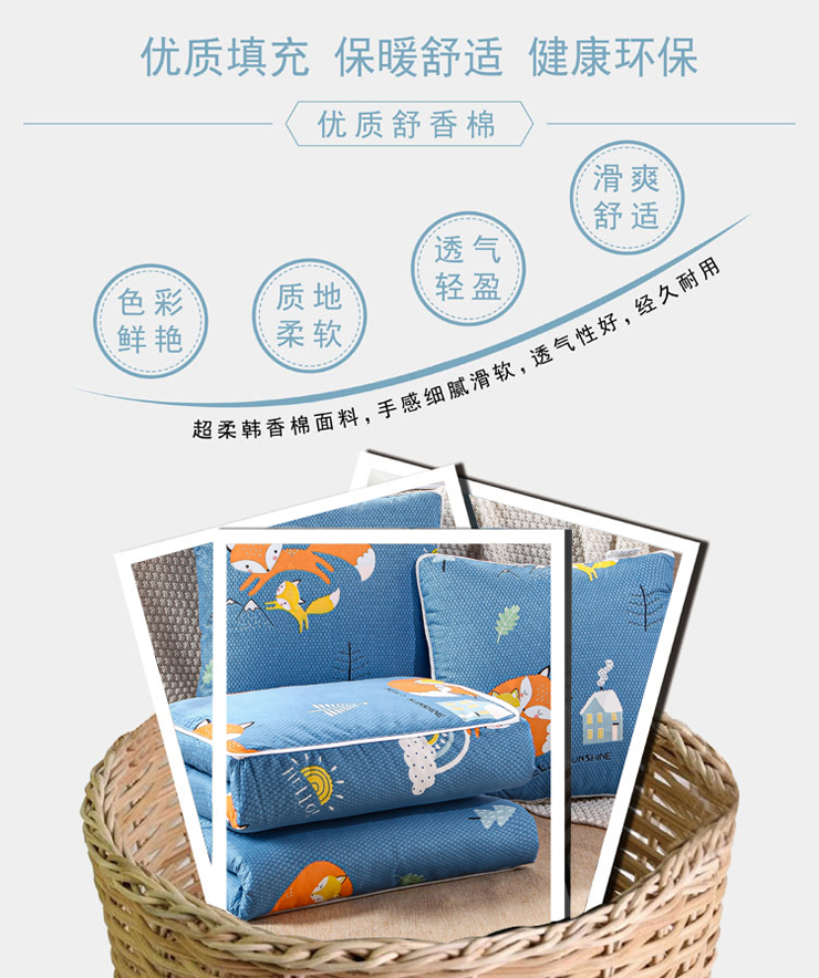 FN-R723-1 時尚印花抱枕被