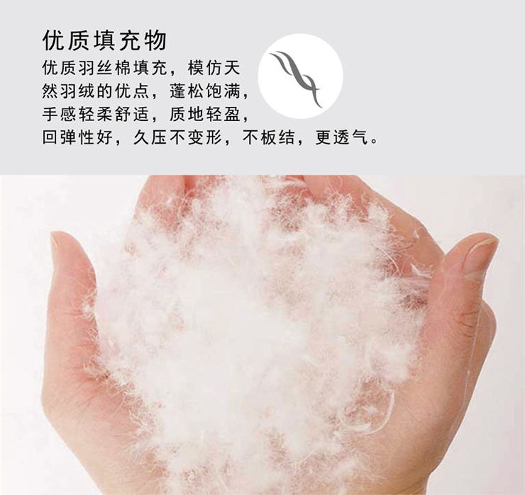 FN-R723-1 時尚印花抱枕被
